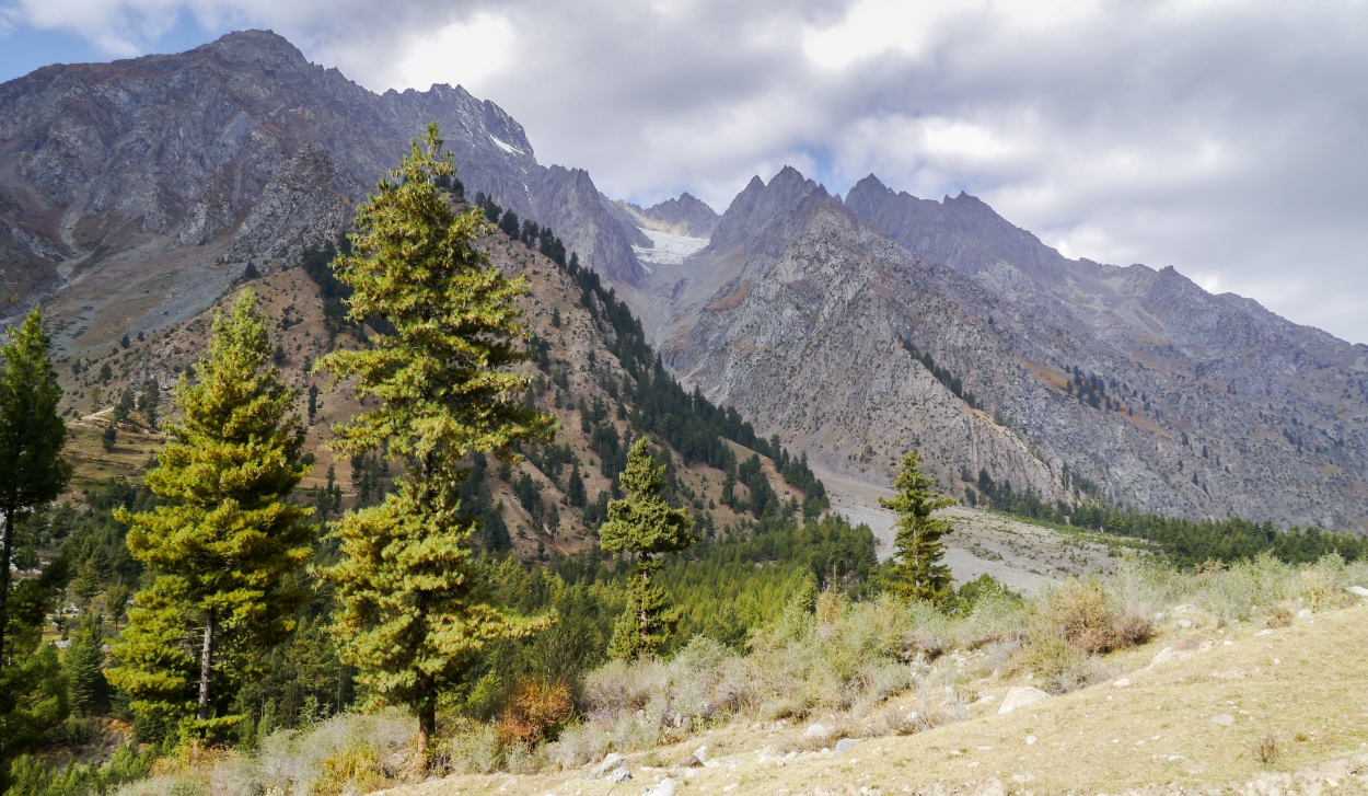 Trekking w Naltar Valley Pakistan