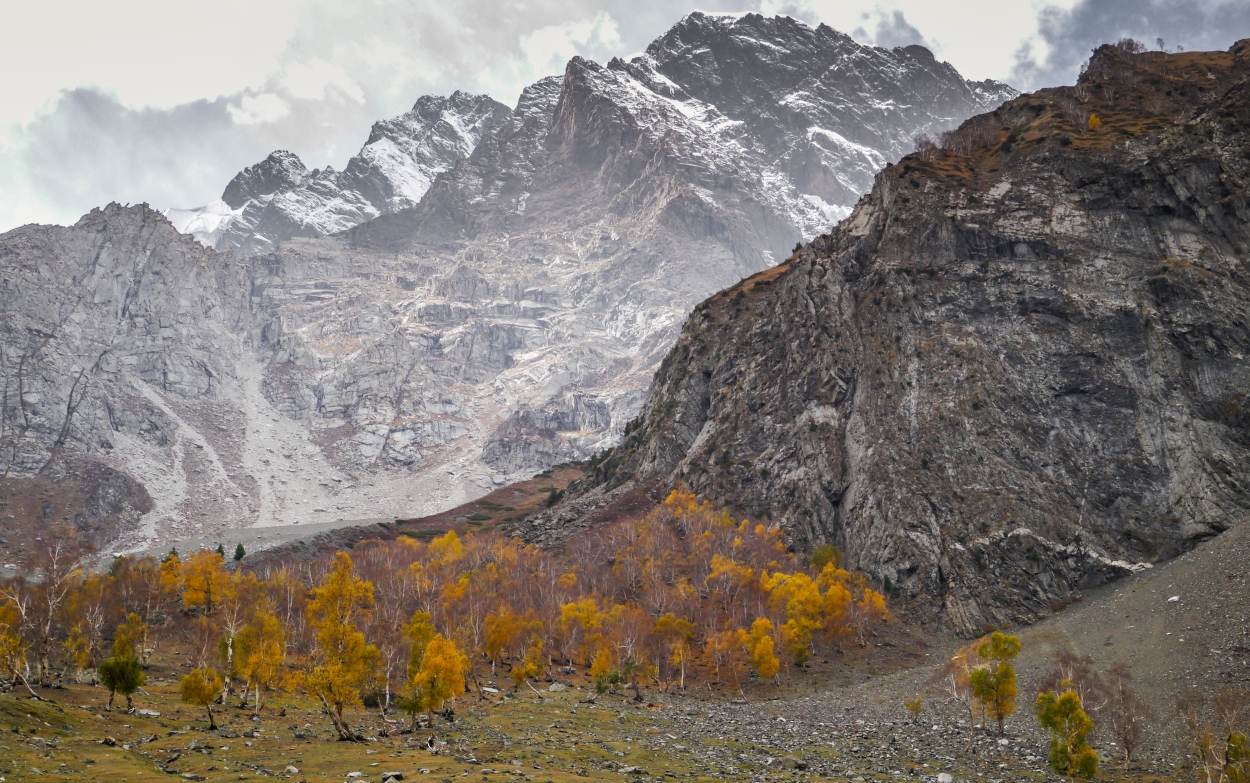 Trekking w Naltar Valley Pakistan