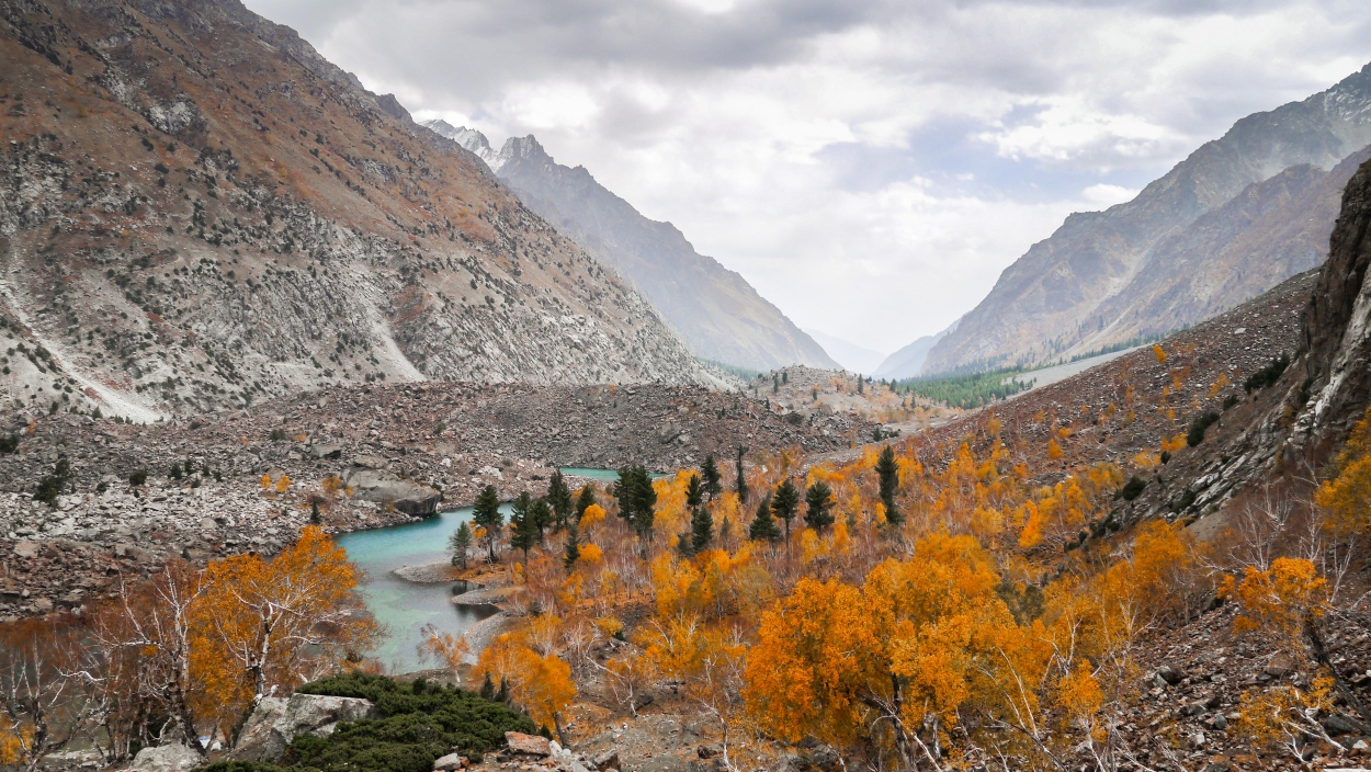 Trekking w Naltar Valley Pakistan