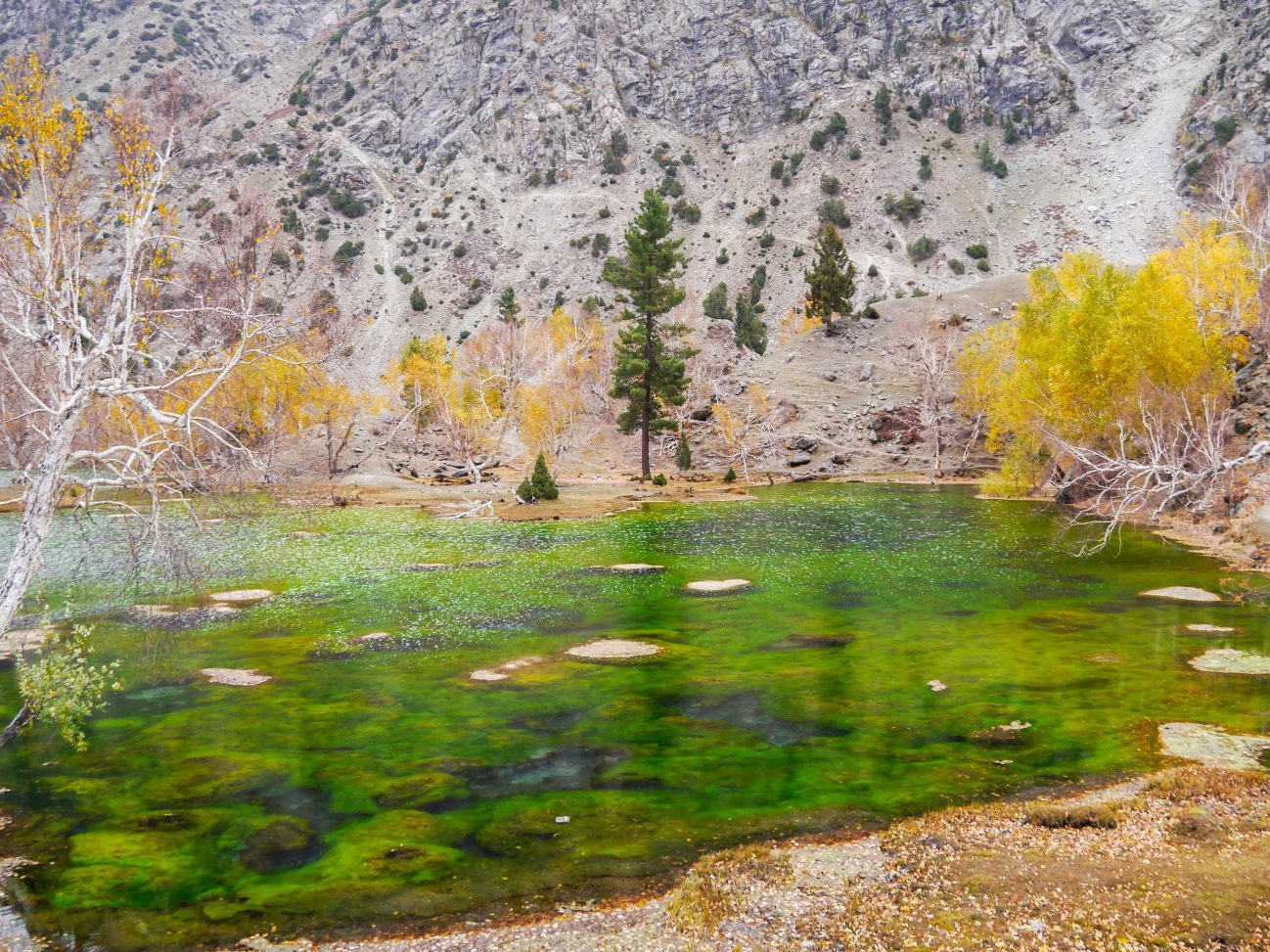 trekking-w-naltar-valley