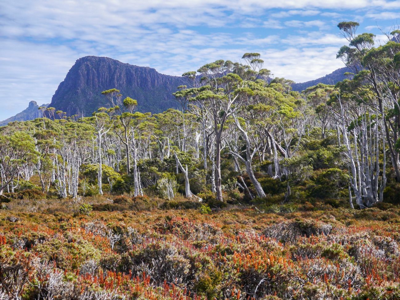 overland-track-dzien-4-kia-ora-hut-bert-nichols-hut