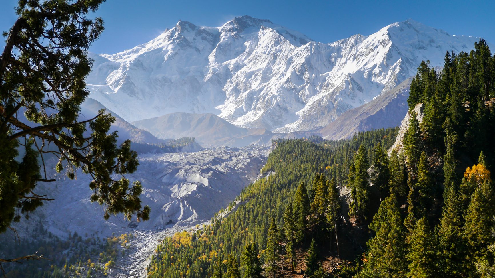 Fairy Meadows