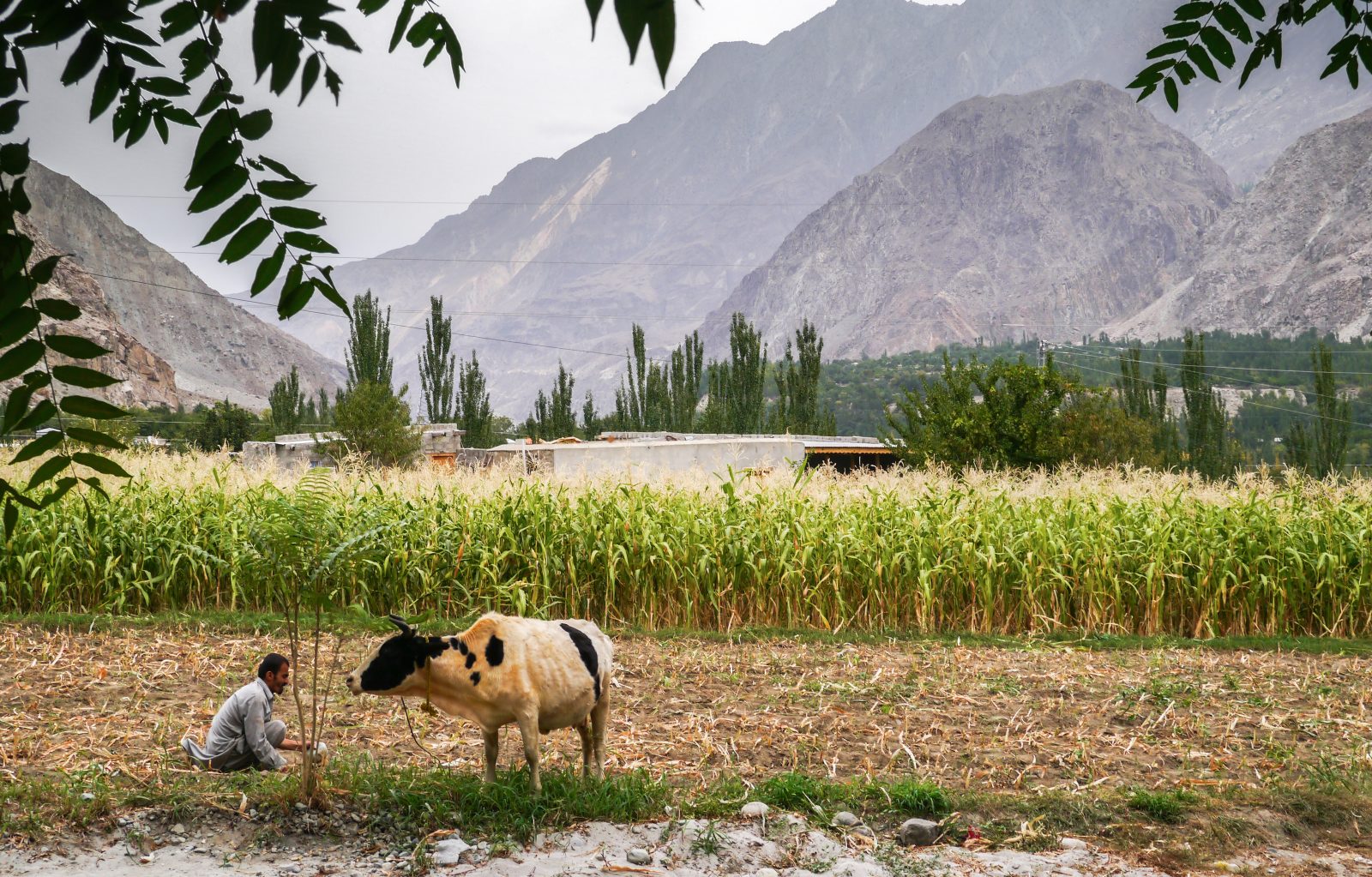 Karimbad Pakistan